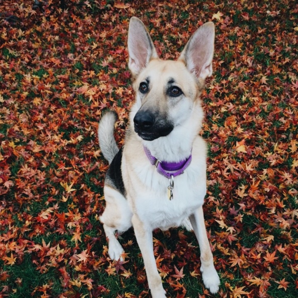 Meet your Posher, Gabi